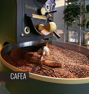 Cafea de specialitate