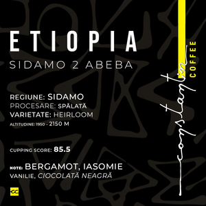 Etiopia Sidamo G2 - Constantin Coffee - Specialty