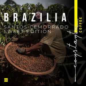 Cafea Boabe, 100% Arabica, Specialty Brasil Santos Cemorrado Sweet Edition, Constantin Coffee
