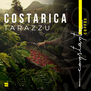 Cafea Boabe, 100% Arabica, Specialty Costa Rica Tarazzu, Constantin Coffee