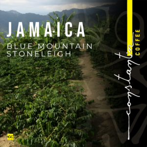 Abonament Cafea boabe, 100% Arabica, Specialty Jamaica Blue Mountain, Constantin Coffee